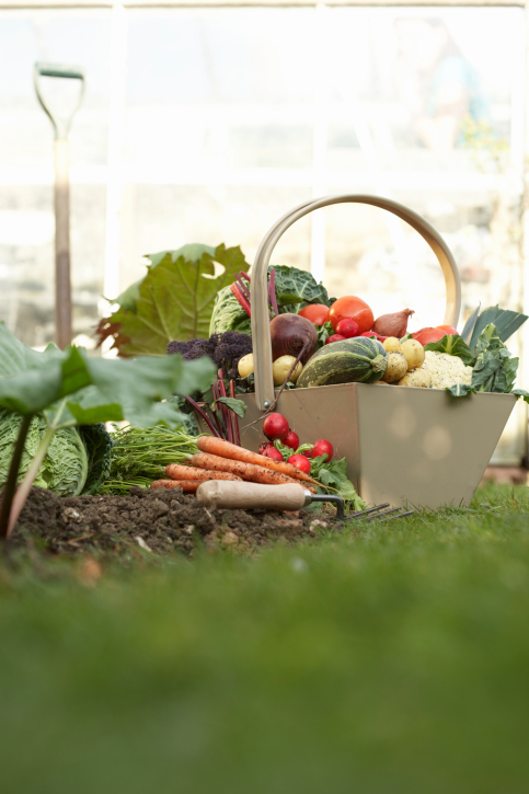 Garden Produce. https://www.info-on-high-blood-pressure.com/disease-prevention.html