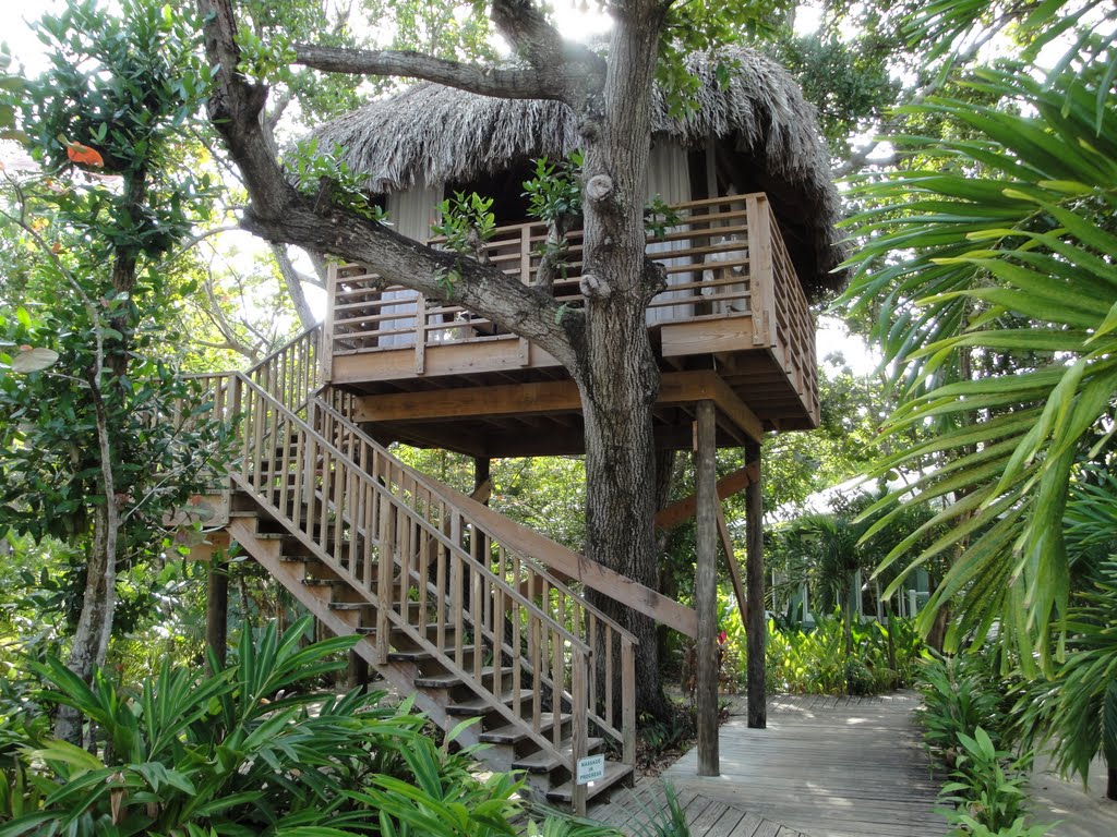 Negril Treehouse Cottage. https://www.info-on-high-blood-pressure.com/opportunities-to-improve.html