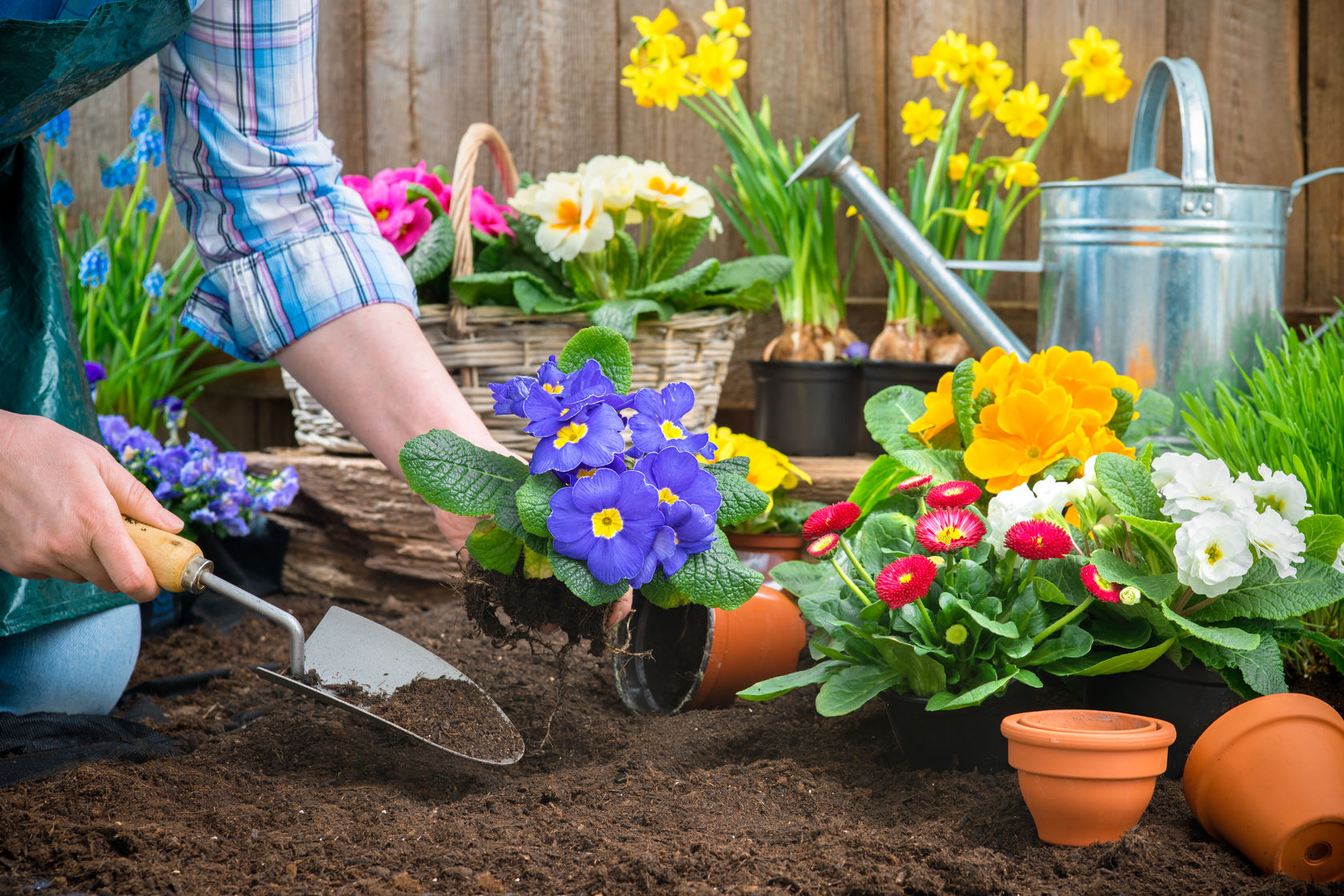 Garden Preparation  https://www.info-on-high-blood-pressure.com/Health-Benefits-Of-Gardening.html