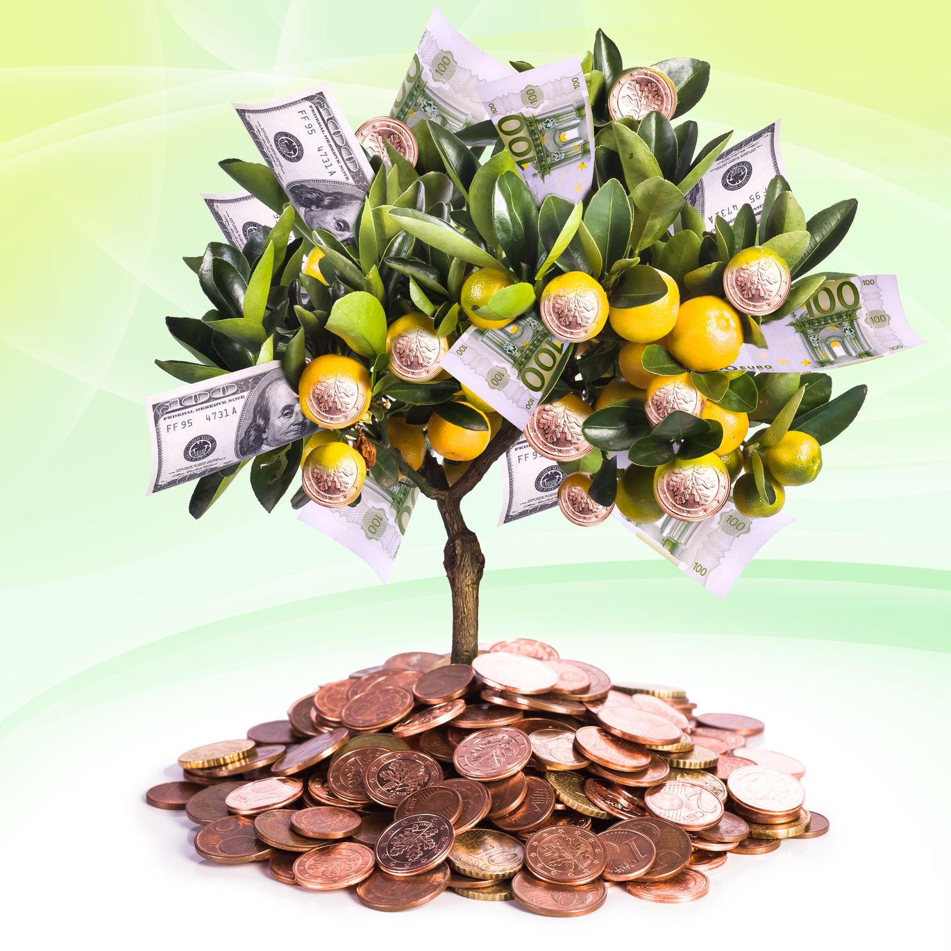 Money Tree - Financial Health And High Blood Pressure  https://www.info-on-high-blood-pressure.com/Financial-Health.html