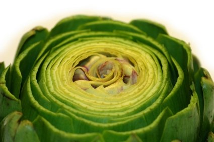 https://www.info-on-high-blood-pressure.com/Herbs-To-Lower-Cholesterol.html, Artichoke