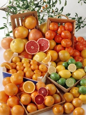 Citrus Fruits,  https://www.info-on-high-blood-pressure.com/Sample-Diets-For-Lowering-Cholesterol.html