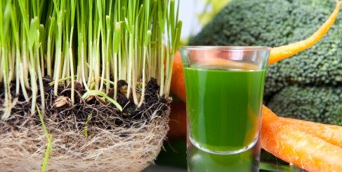 Benefits of Juicing, Green Drink. https://www.info-on-high-blood-pressure.com/Benefits-Of-Juicing.html