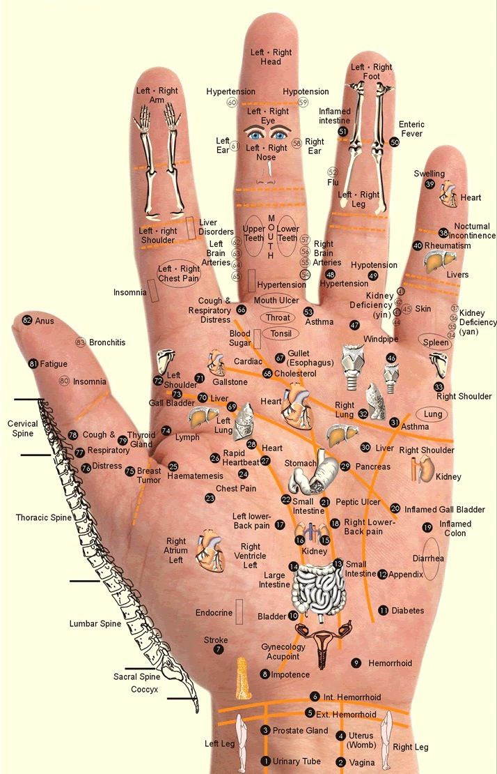 Acupressure points located on the hand. Using acupressure to stop hypertension. https://www.info-on-high-blood-pressure.com/Acupressure.html