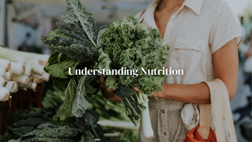 Understanding nutrition. https://www.info-on-high-blood-pressure.com/Overcome-High-Blood-Pressure.html