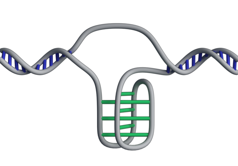 I-Motif - Tangled Knot of new DNA Structure, https://www.info-on-high-blood-pressure.com/Stem-Cells-And-High-Blood-Pressure.html