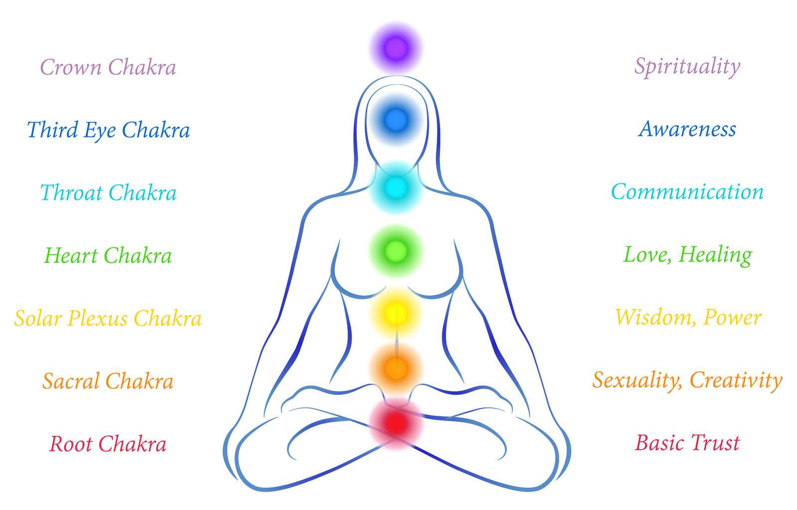 The energy fields of your chakras. https://www.info-on-high-blood-pressure.com/Chakras-And-High-Blood-Pressure.html
