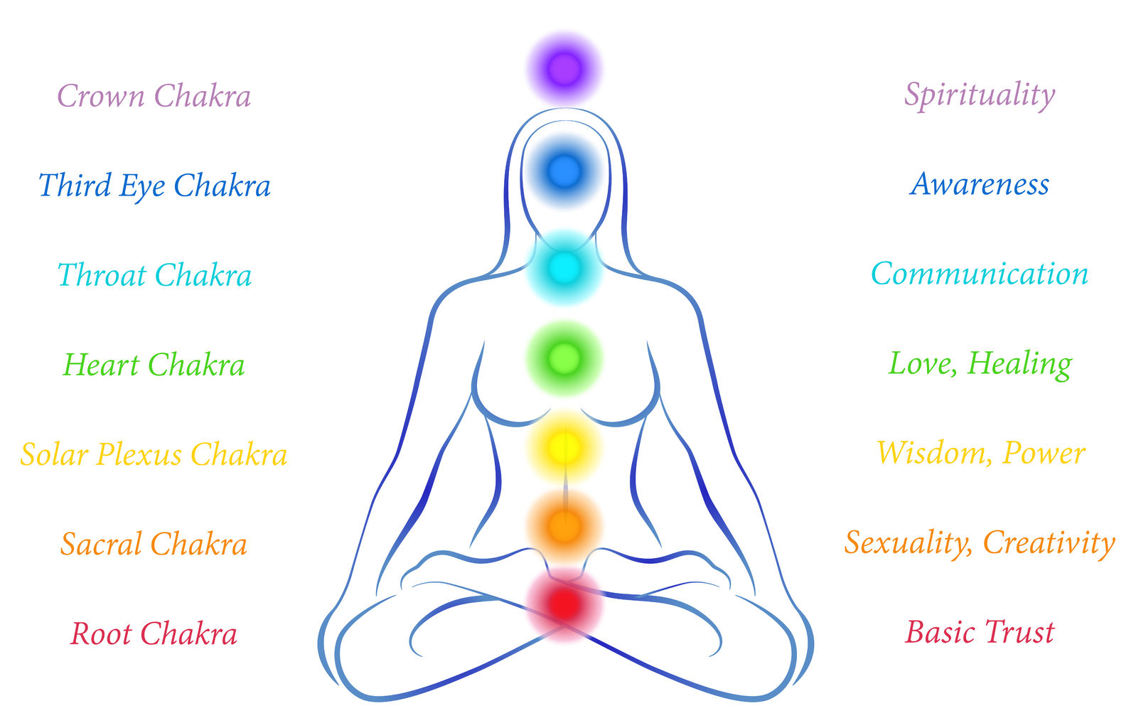 The energy fields of your chakras. https://www.info-on-high-blood-pressure.com/Chakras-And-High-Blood-Pressure.html