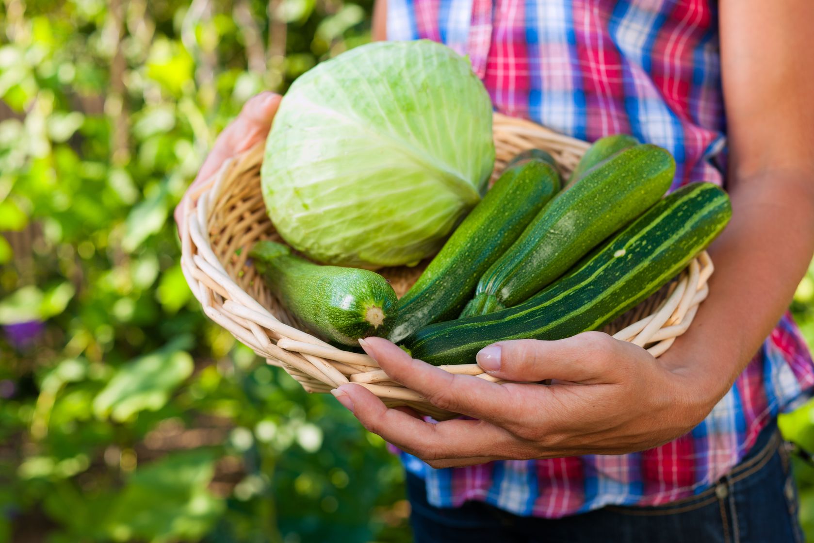 Vegetable Harvest  https://www.info-on-high-blood-pressure.com/Health-Benefits-Of-Gardening.html